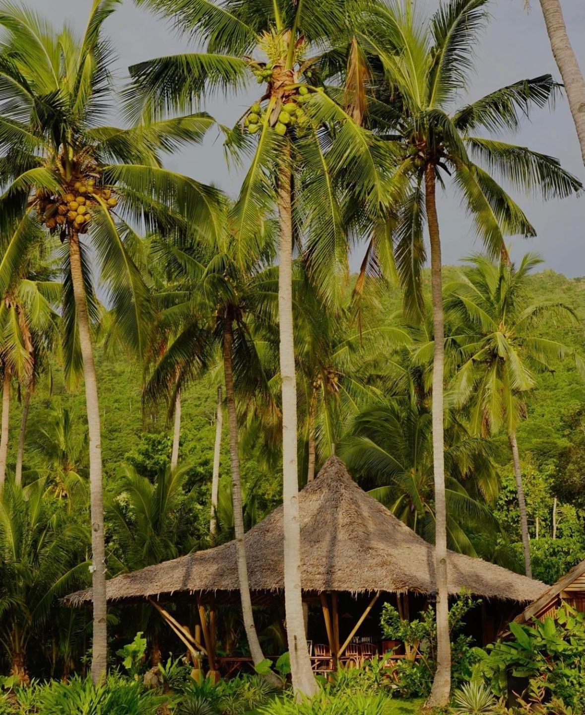 Eco Sanctuaries Nature Lodge Nacpan Beach, El Nido Exterior photo